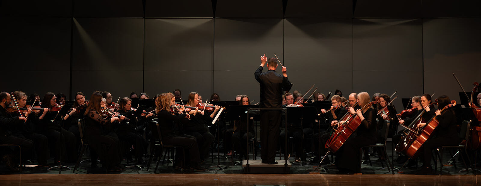 NSOA Endowment Campaign