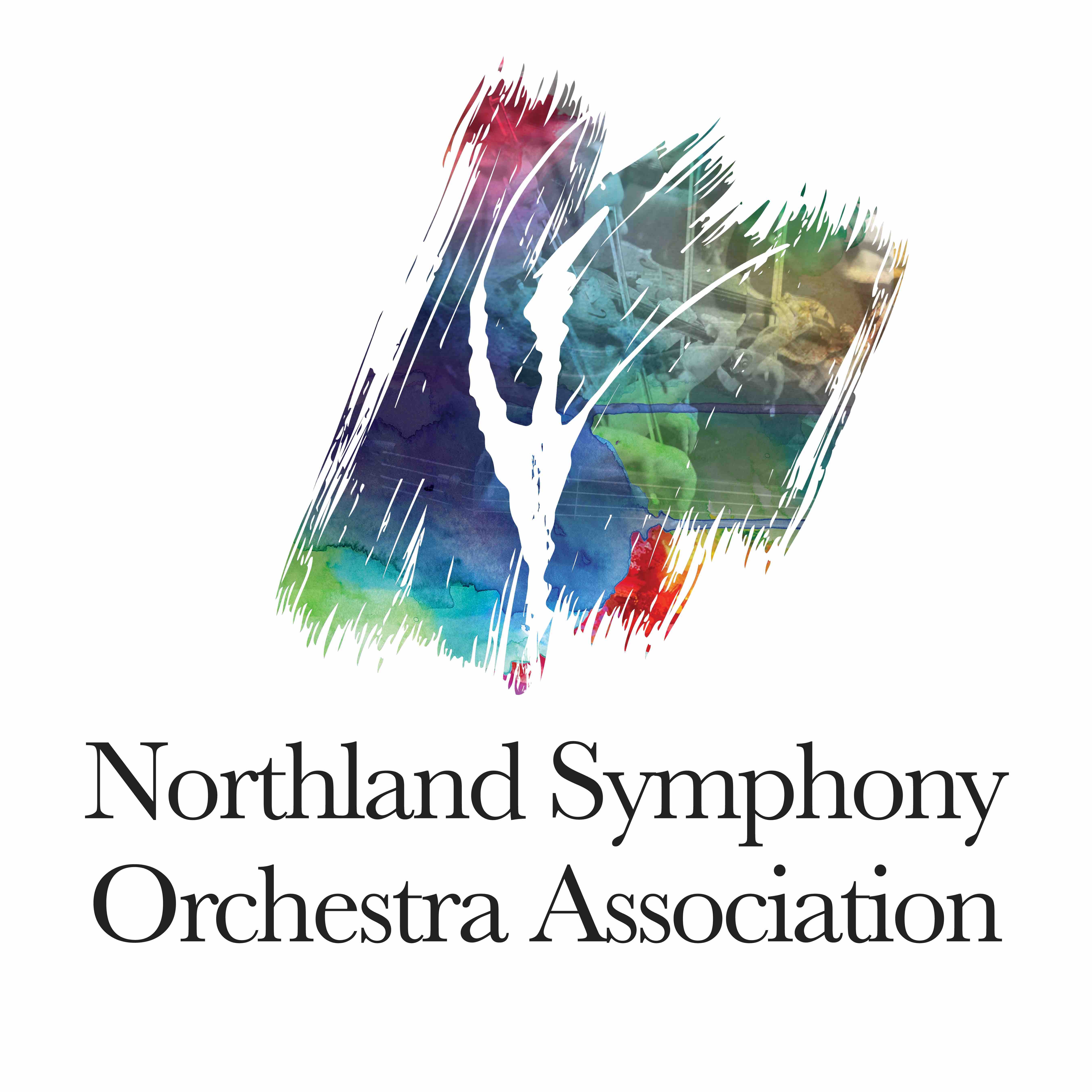 NSOA Endowment Campaign - logo